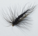 main_25735