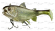 Ripper Daiwa Prorex Live Trout Swimbait DF - detail 2