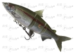 Ripper DAM Effzett Natural Whitefish - farba Rainbow Trout