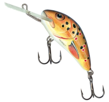 Wobler Salmo Hornet - farba Trout