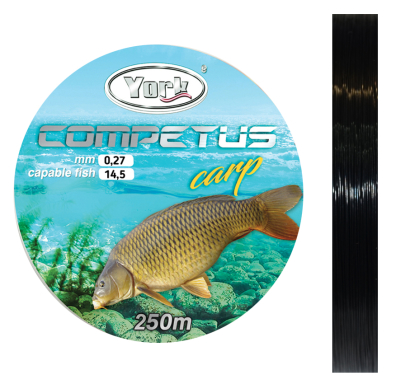 Vlasec York Competus Carp